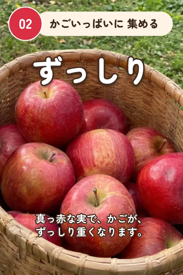 かごいっぱいのりんごに「かごいっぱいに 集める」「ずっしり」の文字が重なった、作例の動画の一場面