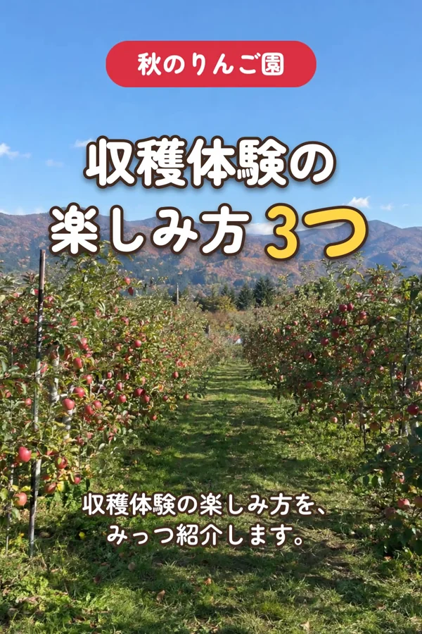 りんご園の並木の写真に「秋のりんご園」「収穫体験の楽しみ方 3つ」の文字が重なった、作例の動画の一場面