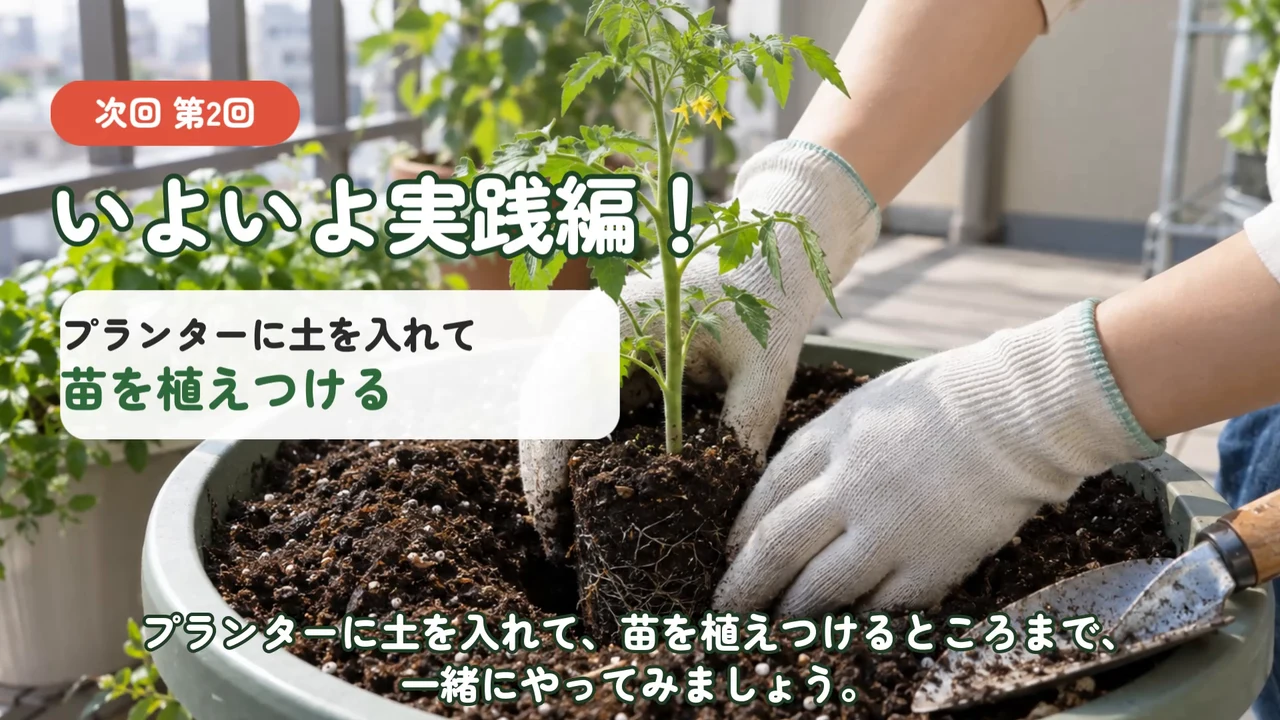 作例の動画で、苗をプランターに植えつける写真に「次回 第2回 いよいよ実践編！」の予告が出る場面