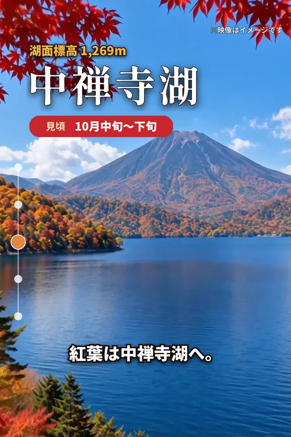 山を背にした湖の映像に「中禅寺湖」と見頃の時期の文字が重なった、作例の動画の一場面