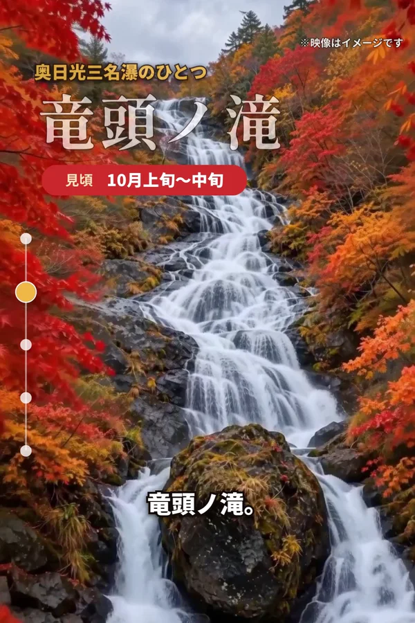 紅葉に囲まれた滝の映像に「竜頭ノ滝」と見頃の時期の文字が重なった、作例の動画の一場面