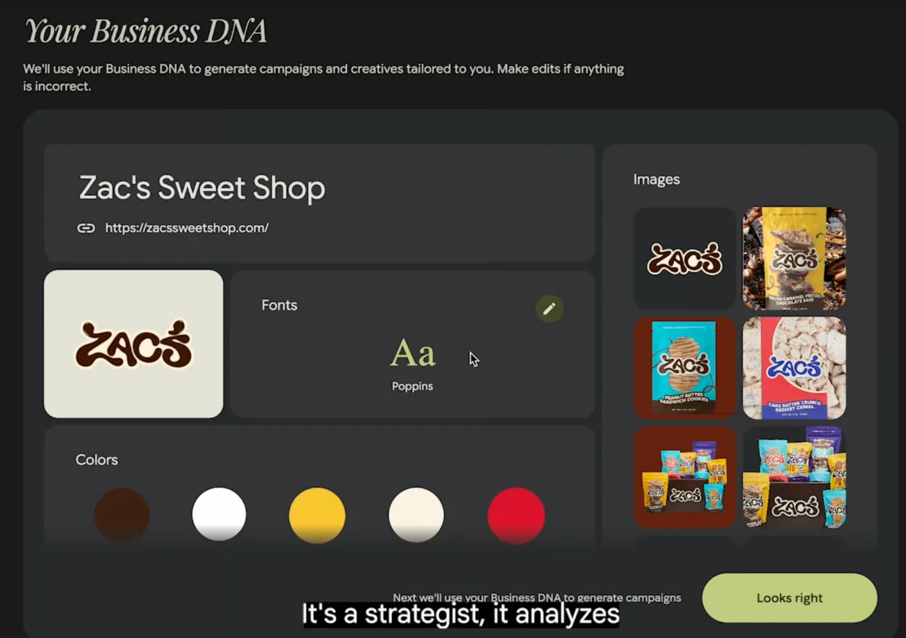 Pomelli screen showing a brand's Business DNA with the shop name, fonts, colors and product images