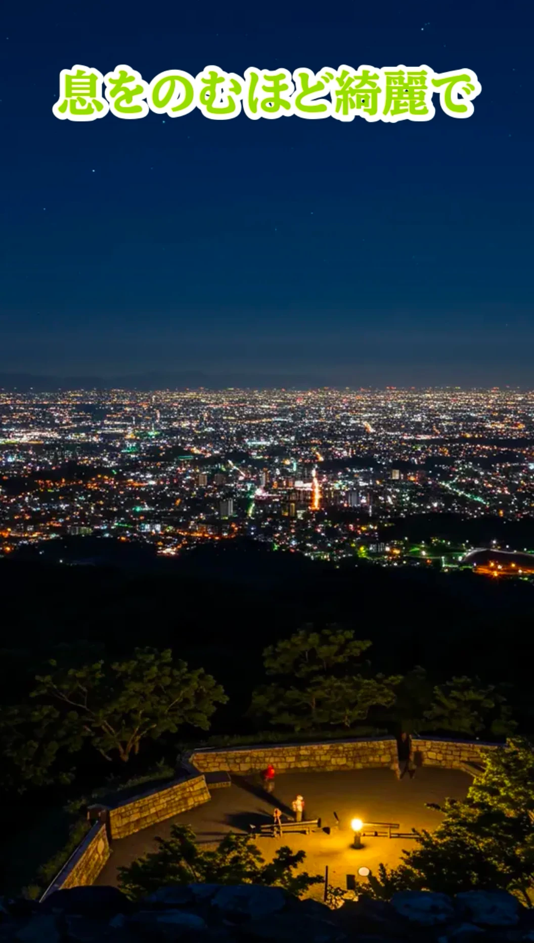 Sample vertical short video made with NoLang 3.0: a night cityscape with a large green Japanese text overlay