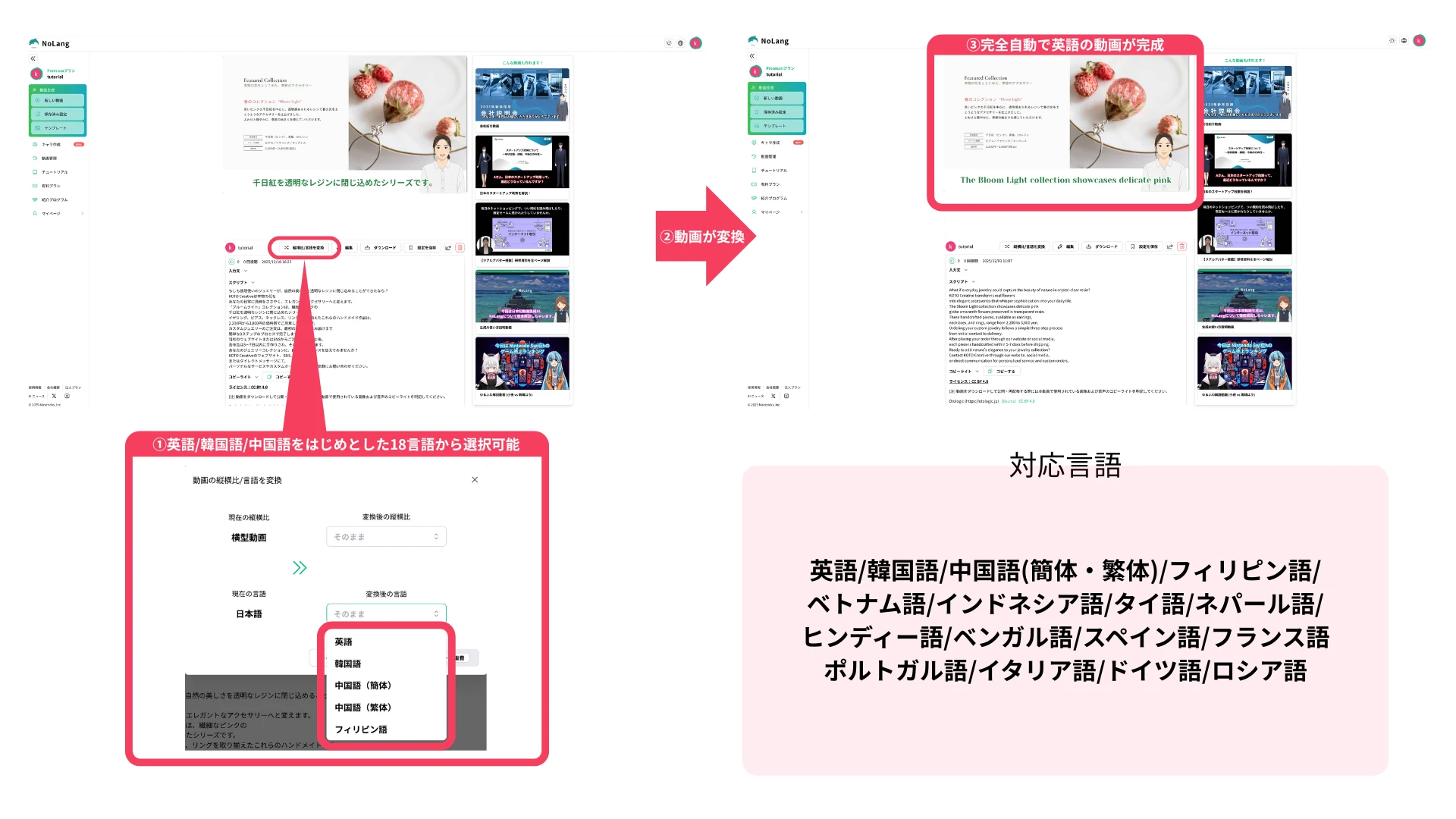 NoLang conversion dialog for aspect ratio and language, the finished English video, and the supported language list